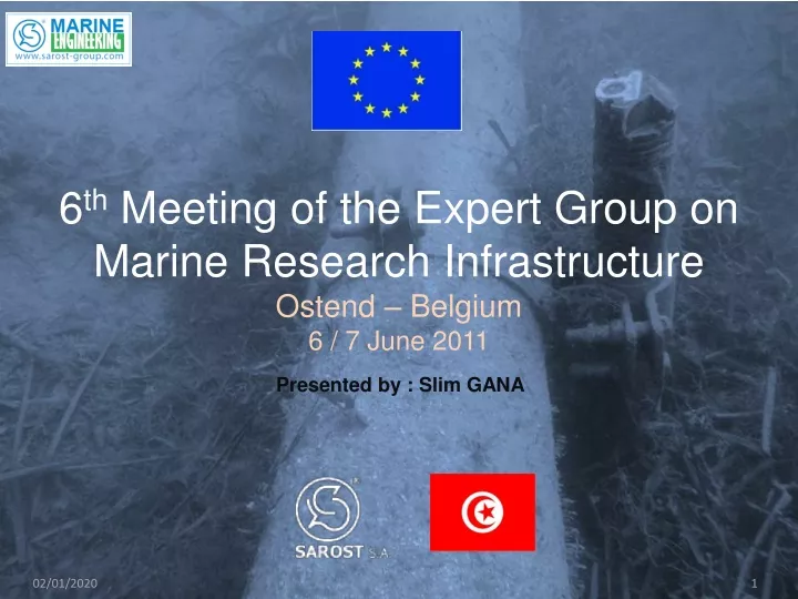 6 th meeting of the expert group on marine