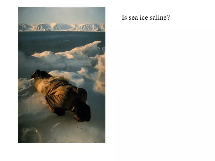 is sea ice saline
