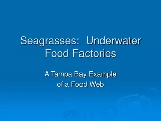Seagrasses:  Underwater Food Factories