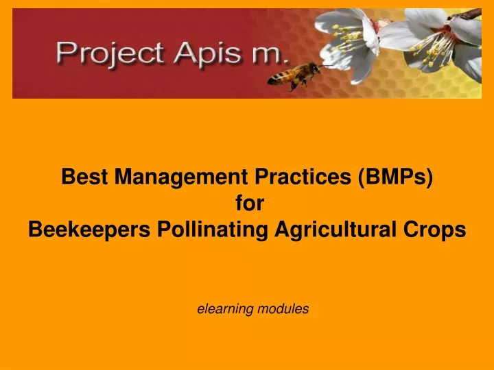 best management practices bmps for beekeepers