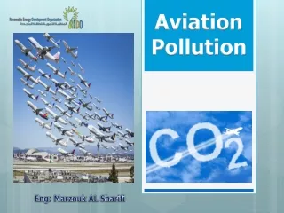 Aviation Pollution