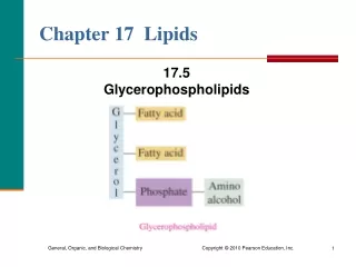 Chapter 17  Lipids