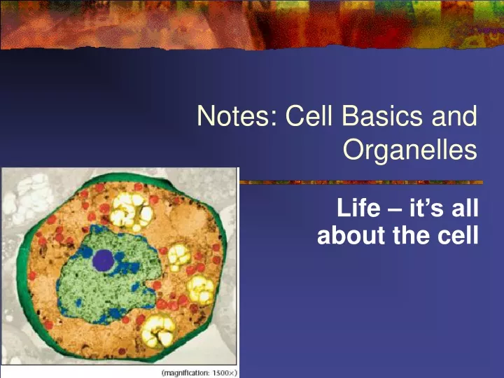 notes cell basics and organelles