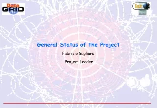 General Status of the Project