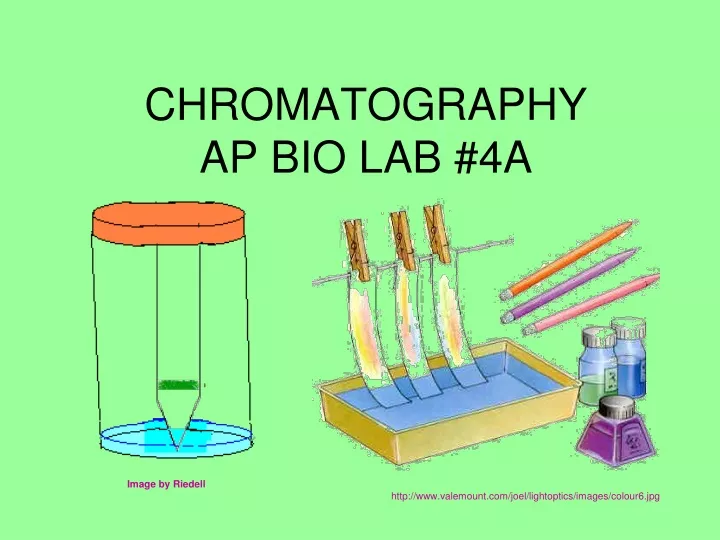 chromatography ap bio lab 4a