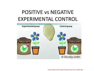 POSITIVE vs NEGATIVE  EXPERIMENTAL CONTROL