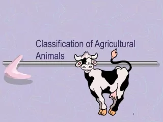 Classification of Agricultural Animals