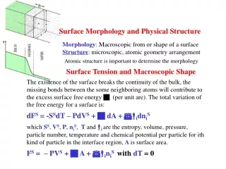 Surface Morphology and Physical Structure