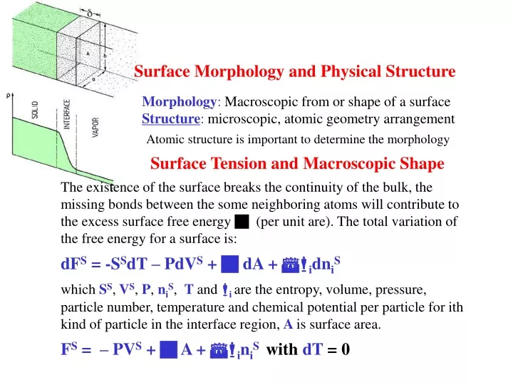 surface morphology and physical structure
