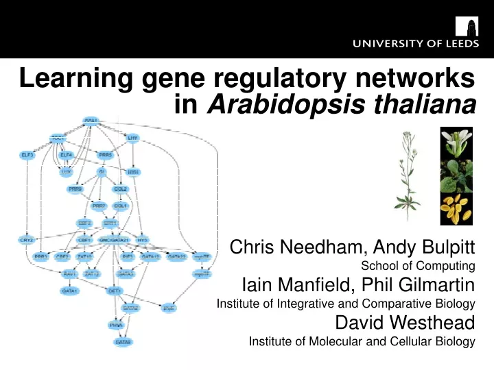 learning gene regulatory networks in arabidopsis