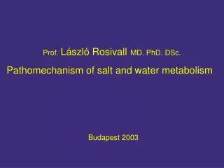 Prof.  László Rosivall MD. PhD. DSc.