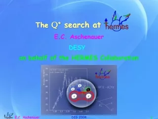 The  Q + search at
