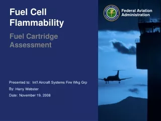 Fuel Cell Flammability