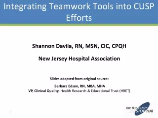 Integrating Teamwork Tools into CUSP Efforts