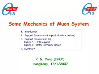 Some Mechanics of Muon System