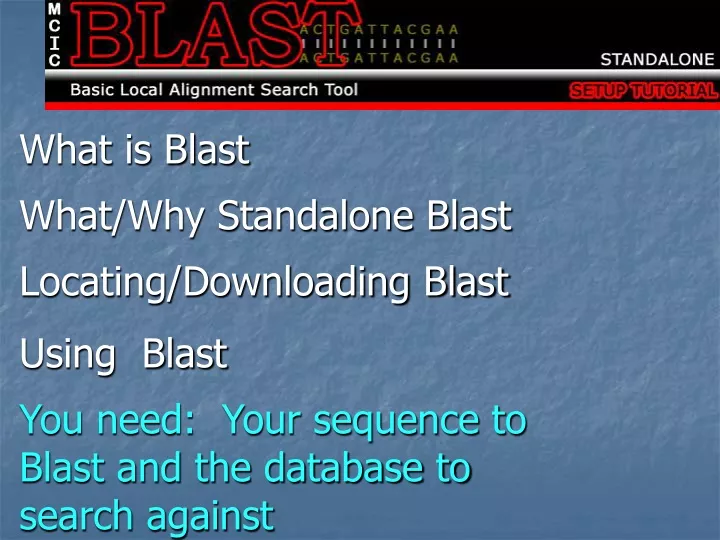 what is blast