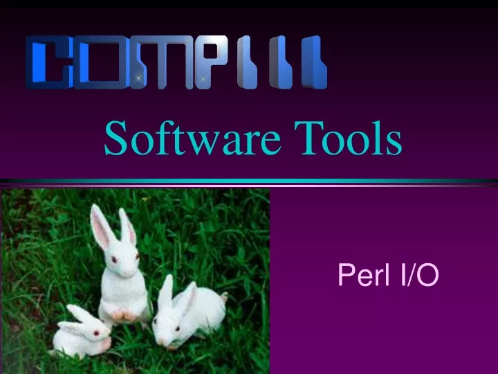 perl i o