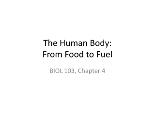 The Human Body:  From Food to Fuel