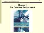Chapter 1:  The Database Environment