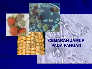 CEMARAN JAMUR PADA PANGAN