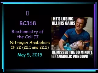 BC368 Biochemistry of the Cell II