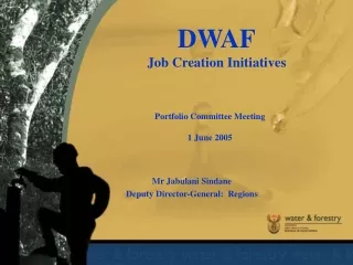 DWAF Job Creation Initiatives