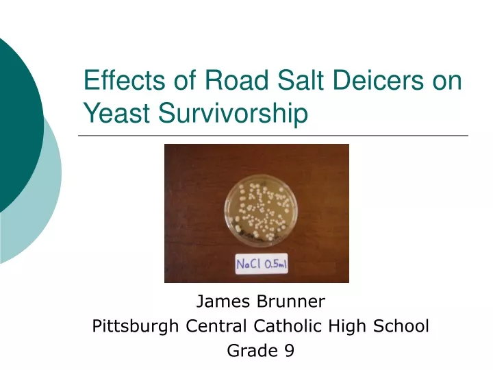 effects of road salt deicers on yeast survivorship