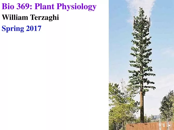 bio 369 plant physiology