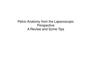 Pelvic Anatomy from the Laparoscopic Perspective A Review and Some Tips