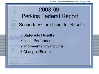 2008-09  Perkins Federal Report