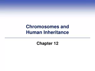 Chromosomes and  Human Inheritance