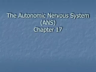 The Autonomic Nervous System (ANS) Chapter 17