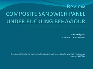 Review COMPOSITE SANDWICH PANEL UNDER BUCKLING BEHAVIOUR
