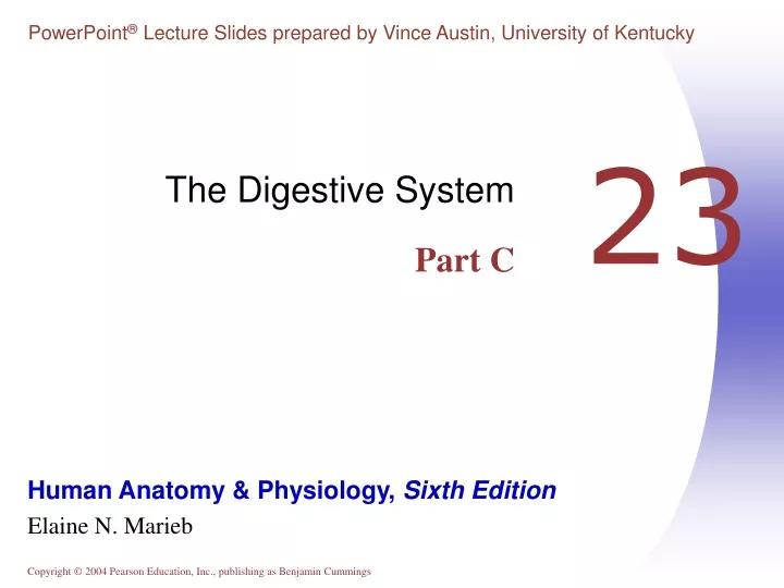 the digestive system part c
