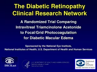 The Diabetic Retinopathy Clinical Research Network