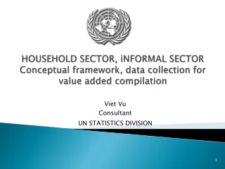 Viet Vu Consultant UN STATISTICS DIVISION