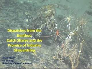 Dispatches from the Benthos:  Catch Shares and the Promise of Industry Stewardship