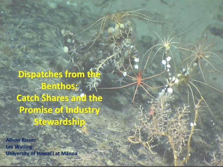 dispatches from the benthos catch shares