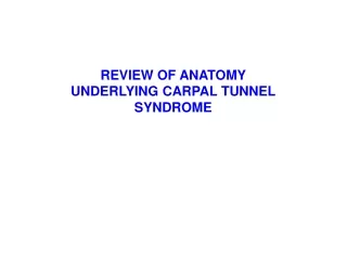 REVIEW OF ANATOMY UNDERLYING CARPAL TUNNEL SYNDROME