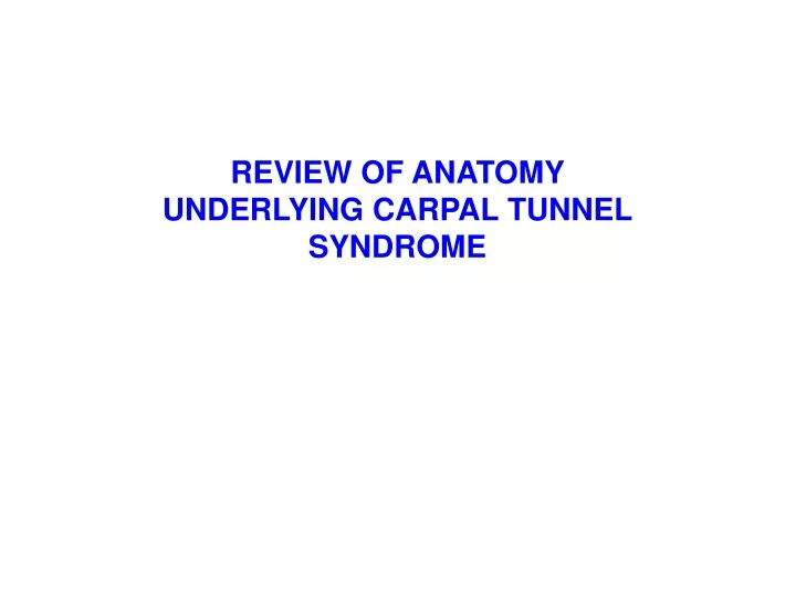 review of anatomy underlying carpal tunnel