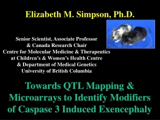 Elizabeth M. Simpson, Ph.D.