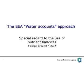 The EEA “Water accounts” approach