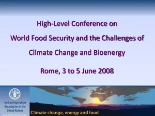 High-Level Conference on  World Food Security and the Challenges of  Climate Change and Bioenergy