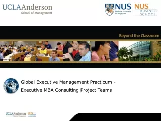 Global Executive Management Practicum -  	Executive MBA Consulting Project Teams