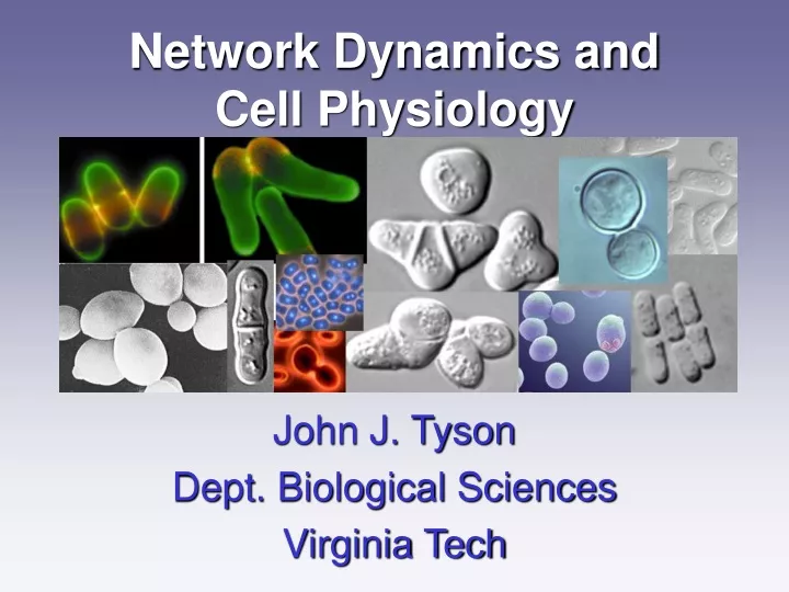 network dynamics and cell physiology