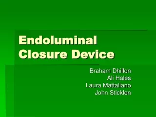 Endoluminal Closure Device
