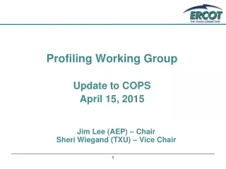 Profiling Working Group Update to COPS April 15, 2015