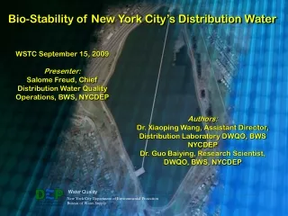 Bio-Stability of New York City’s Distribution Water