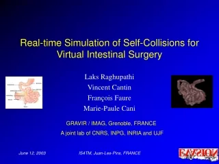 Real-time Simulation of Self-Collisions for Virtual Intestinal Surgery
