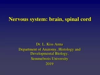 Nervous system :  brain ,  spinal cord
